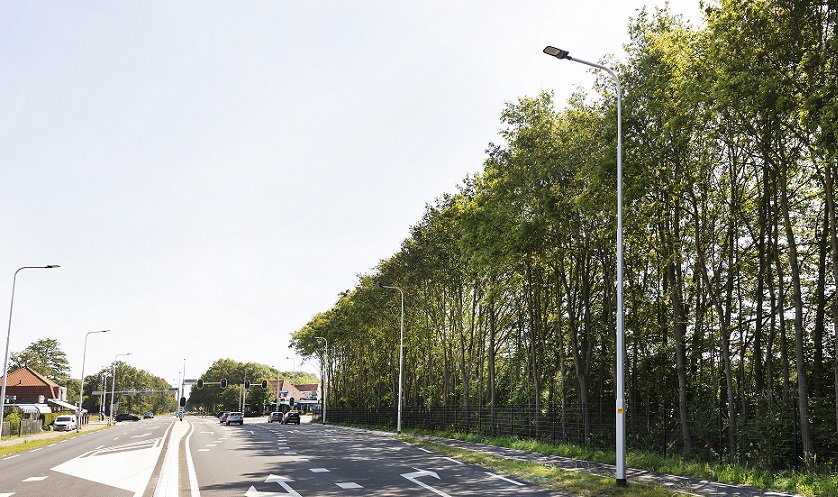 a road with trees on the side