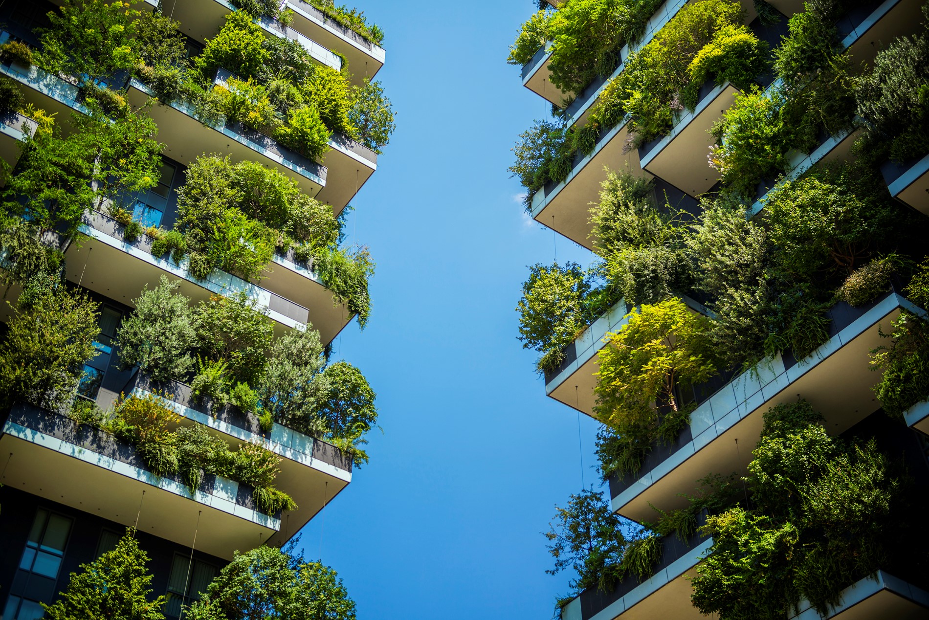 balconies with large green plants