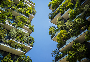 balconies with large green plants