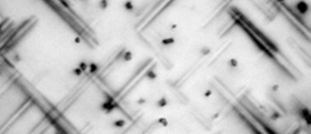 monochrome illustration photo